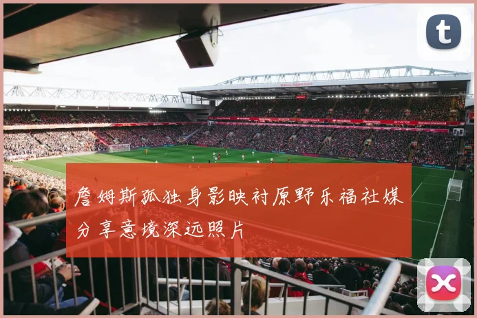 詹姆斯孤独身影映衬原野乐福社媒分享意境深远照片